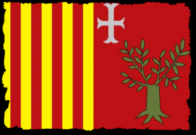 BANDERA DE CADRETE